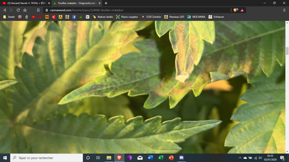 image.thumb.png.14797f44c3e24af004a48f63859e4356.png