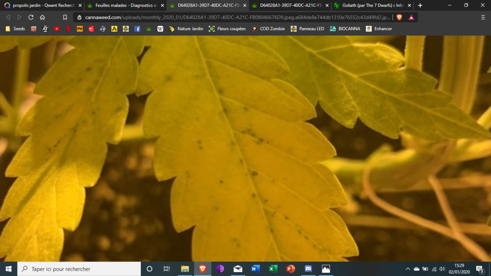 image.thumb.png.d265f183f123e623f8fcbc680abbb991.png