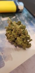 20181025_150351.jpg