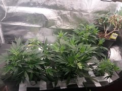 20200101_203417.jpg