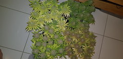 20200106_004217.jpg