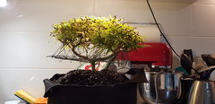 20200108_000633.jpg