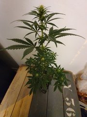 20200108_010507.jpg