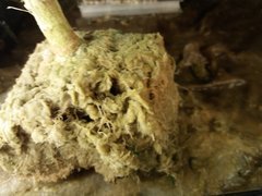 20200120_110344.jpg