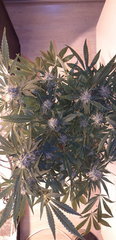 20200121_174943.jpg