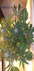 20200121_180341.jpg
