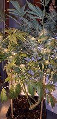 20200121_180524.jpg