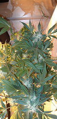 20200121_180545.jpg