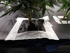 20200121_182727.jpg