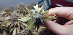 20200124_190942.jpg