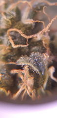20200126_175923.jpg