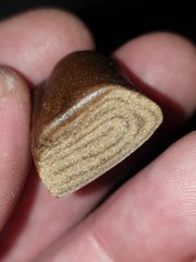 20200130_012010_crop_39.jpg
