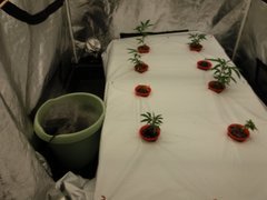 20200130_083529.jpg