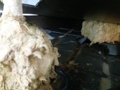 20200130_200903.jpg