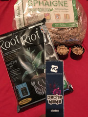 root riot vs sphaigne