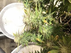 CFDC4B76-445B-44AD-A25E-63A60AF031BE.jpeg