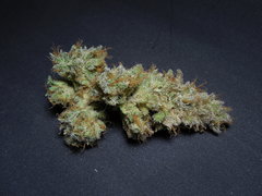 Strawberry banana x Key lime pie Phéno#2 - Purple city genetics