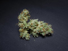 Strawberry banana x Key lime pie Phéno#2 - Purple city genetics