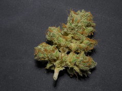 Strawberry banana x Key lime pie Phéno#2 - Purple city genetics