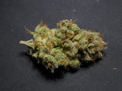 Strawberry banana x Key lime pie Phéno#2 - Purple city genetics