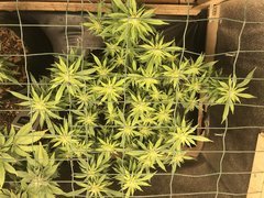 E30DB26C-C14C-4AE2-B598-615D1A67CF36.jpeg