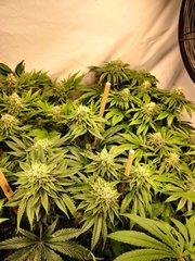 IMG_20200106_210630.jpg