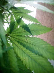 IMG_20200106_222743.jpg