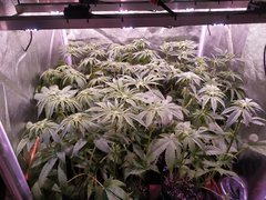 IMG_20200114_215310.jpg