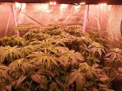 IMG_20200114_215316.jpg