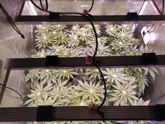 IMG_20200120_205335.jpg
