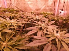 IMG_20200120_205347.jpg