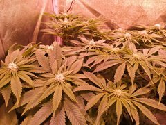IMG_20200120_205404.jpg