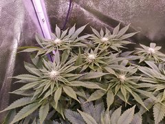 IMG_20200120_205415.jpg