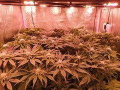 IMG_20200127_202752.jpg