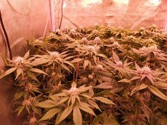 IMG_20200127_230123.jpg