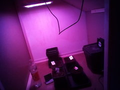 IMG_20200129_004830.jpg