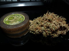Lemon Og Philosopher.Smoke Love.