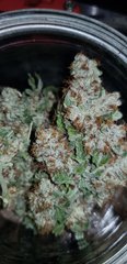 weed420-410.jpg