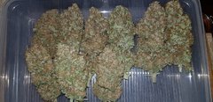 weed420-412.jpg