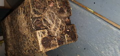 weed420-664.jpg
