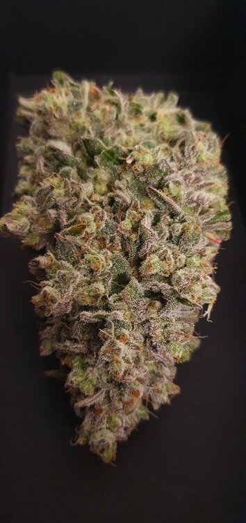 weed420-575.thumb.jpg.05a4be9cad7f418714cc290e0f8ef6d6.jpg