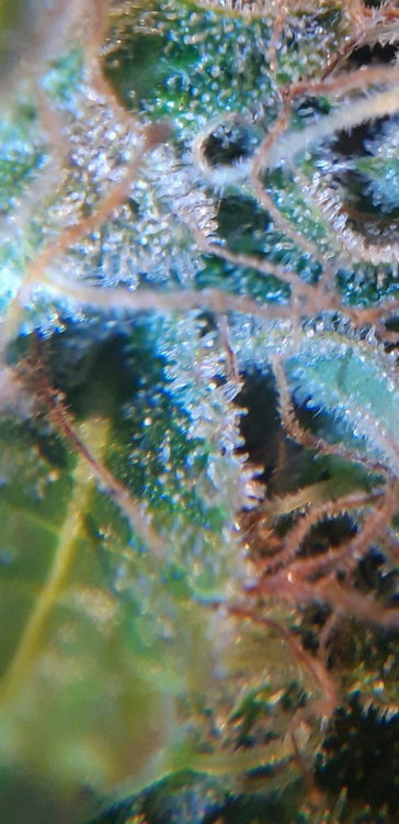 20200208_174404.jpg
