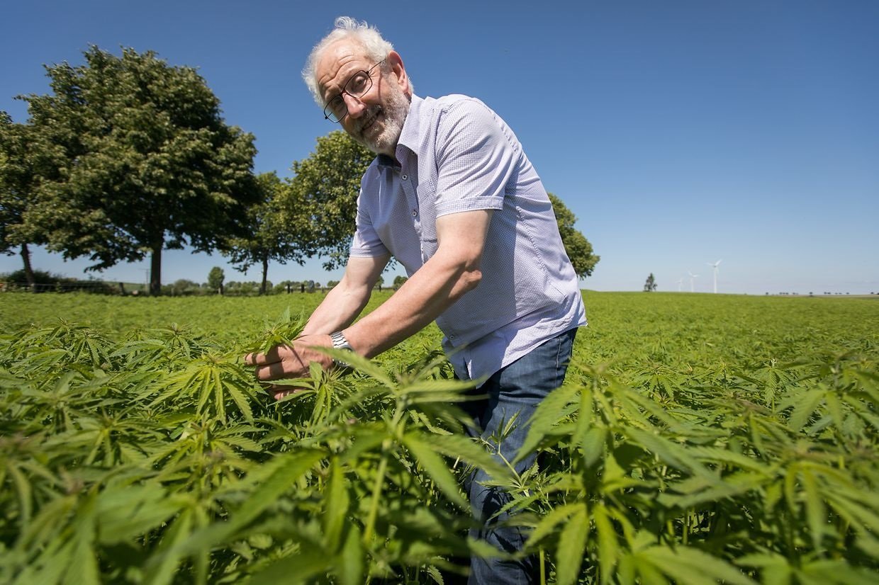 Le Luxembourg produira son propre cannabis