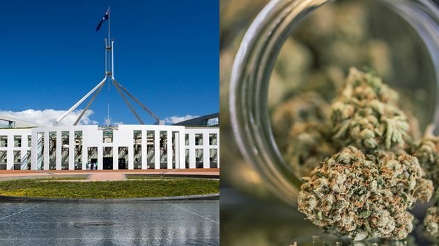 Australie - Le cannabis légalisé dans le territoire de Canberra