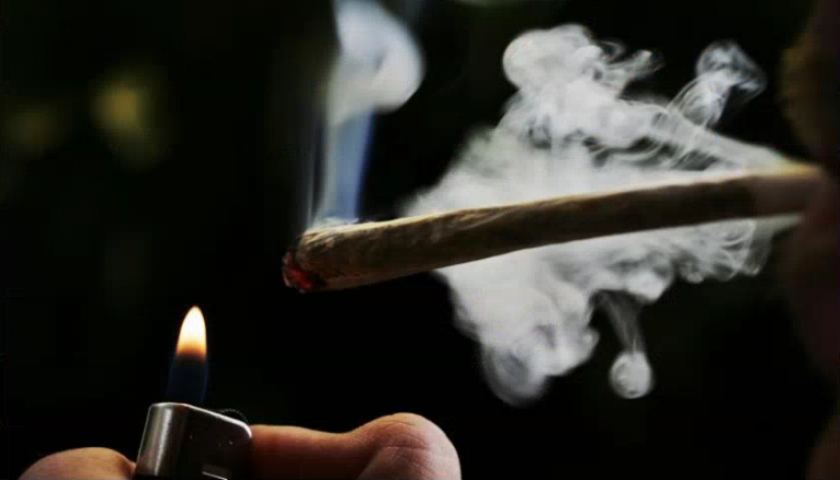 La légalisation du cannabis en France peut-elle mettre fin au marché noir ?