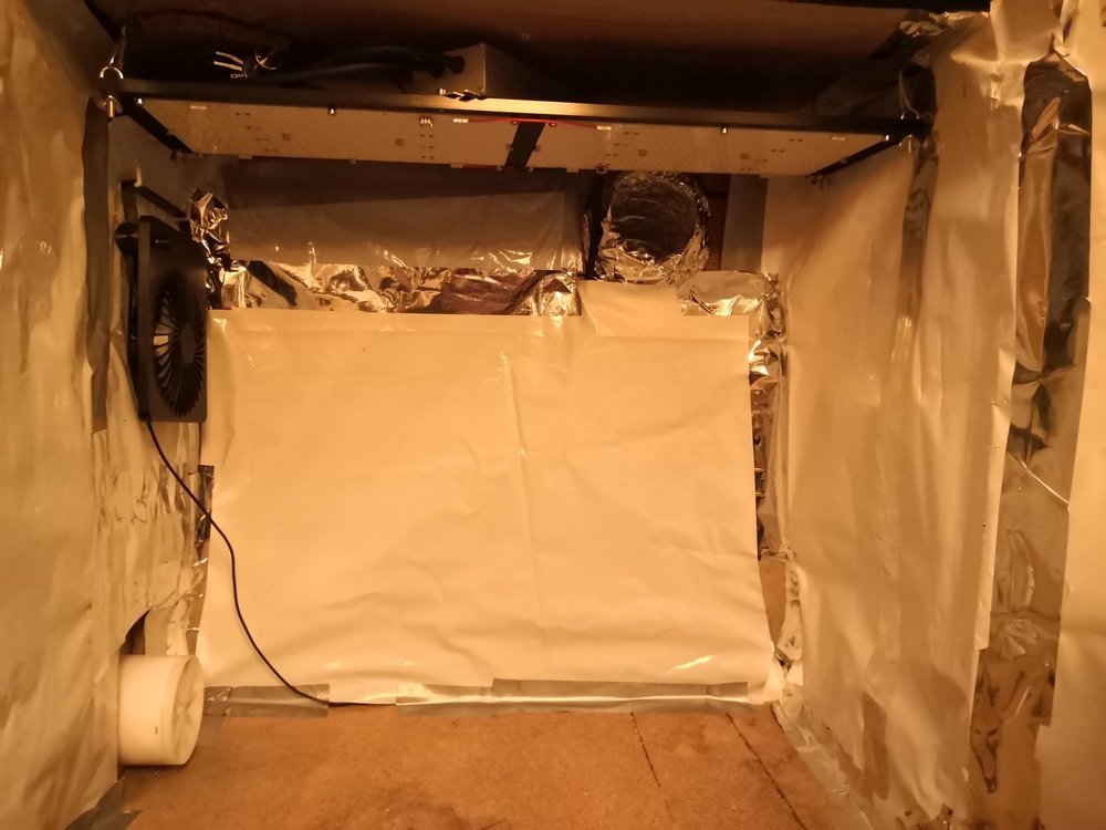 IMG_20200202_024033.jpg