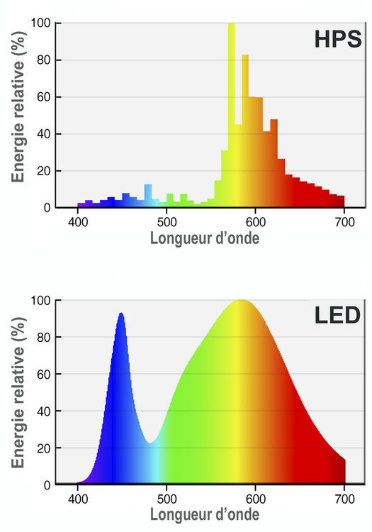 Leds_sodium_spectrum_fr.jpg