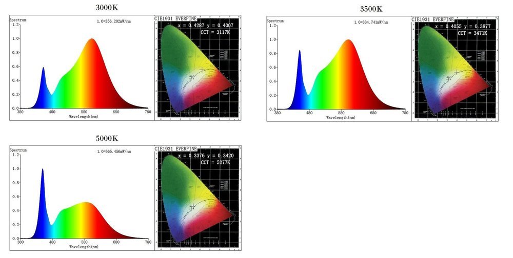 QB-288_Spectrum_265501af-98bf-4093-9494-c6067d8b6109_2000x2000.jpg