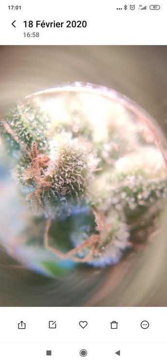 Screenshot_2020-02-18-17-01-51-690_com_miui.gallery.thumb.jpg.9ef8af20b3920277b9421d9ad4022e00.jpg