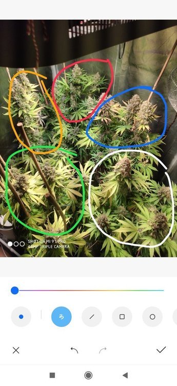 Screenshot_2020-02-19-14-02-43-950_com_miui.gallery.thumb.jpg.7410ebd44a76cc2a22480bd695d57db0.jpg
